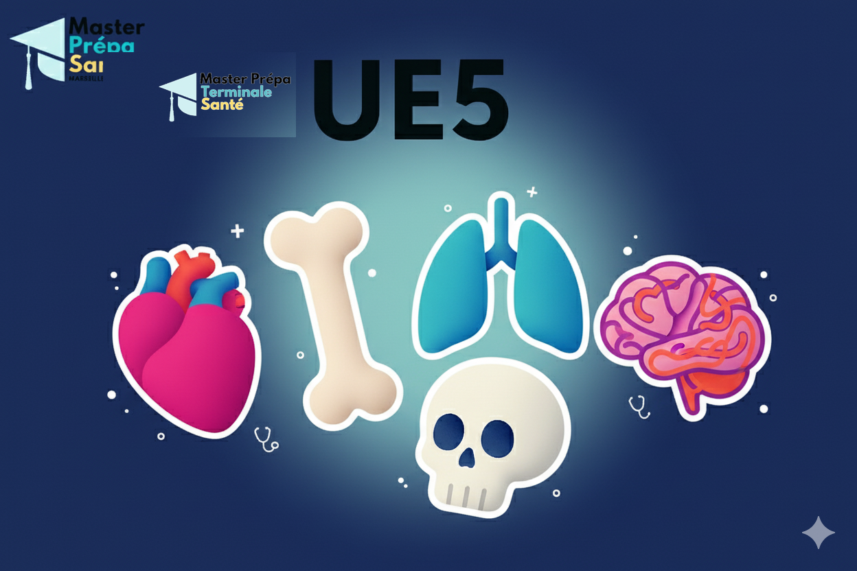 UE5